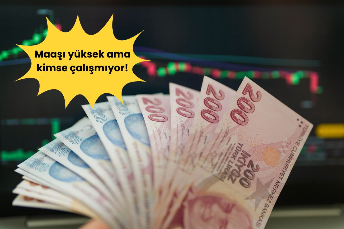 100 bin TL maaşı var! Acil aranıyor ama bulamıyorlar Herkes okuyup mühendis, doktor olacak