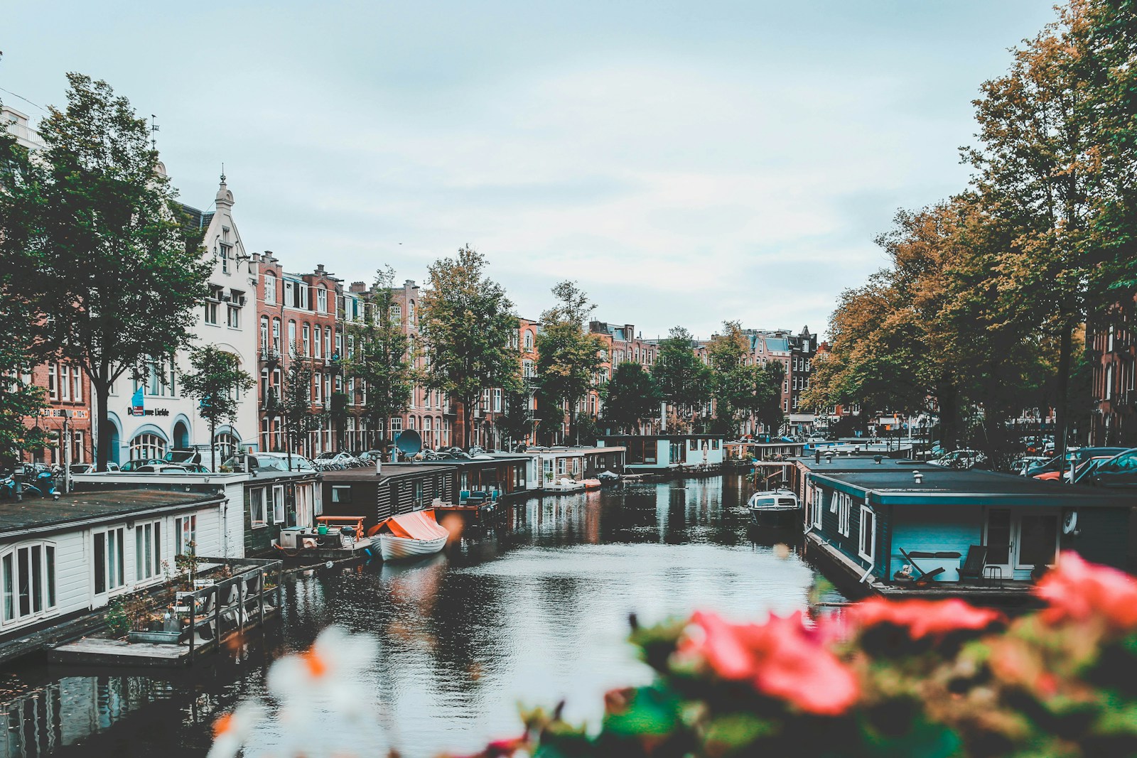 boats on water near buildings