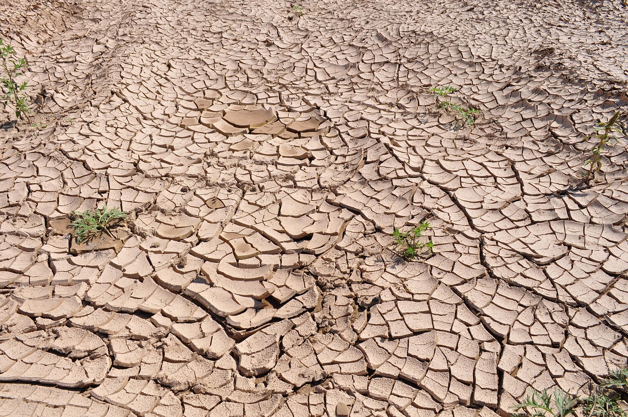 drought, cracked earth, dry earth, parched land, dry riverbed, global warming, earth, texture, dirt, dried mud, cracks, brown earth, brown texture, brown global, drought, drought, drought, global warming, global warming, global warming, global warming, global warming