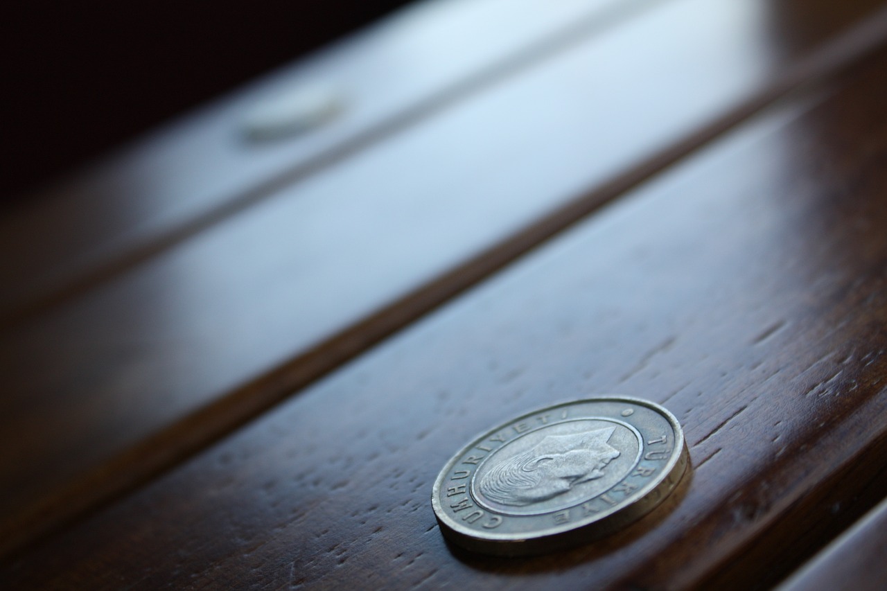 turkish lira, coin, table, inflation, money, closeup