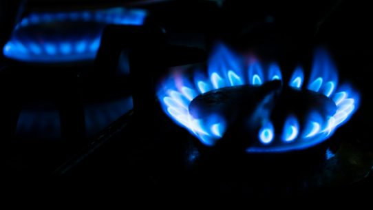 close up photo of burning wood