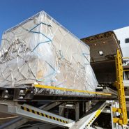 blank