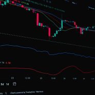 blank