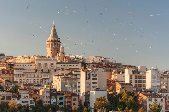 The Galata Tower rising above the cityscape of Istanbul with birds flying overhead