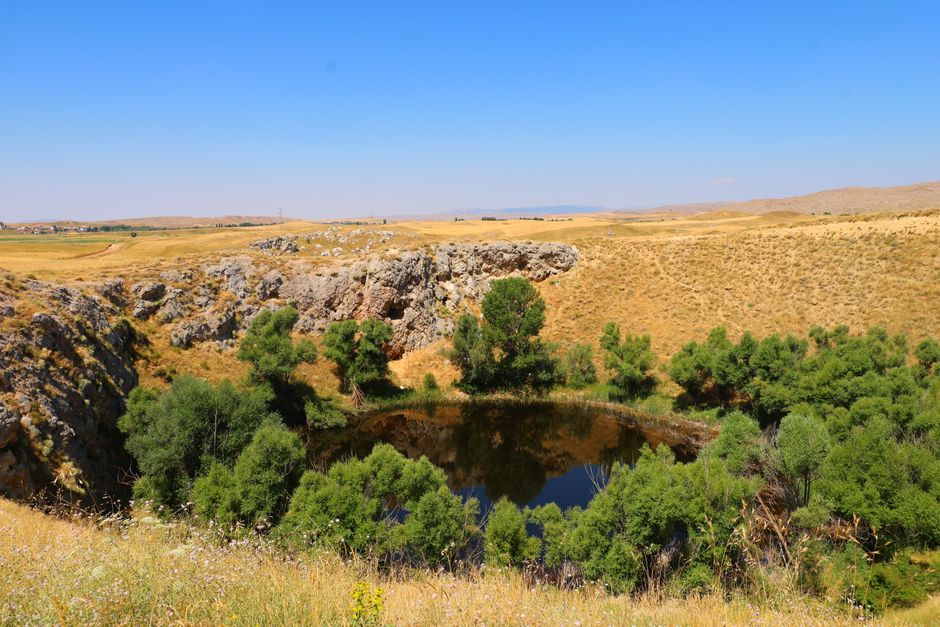 A beautiful summer landscape featuring a rocky formation and lush greenery surrounding a peaceful pond.